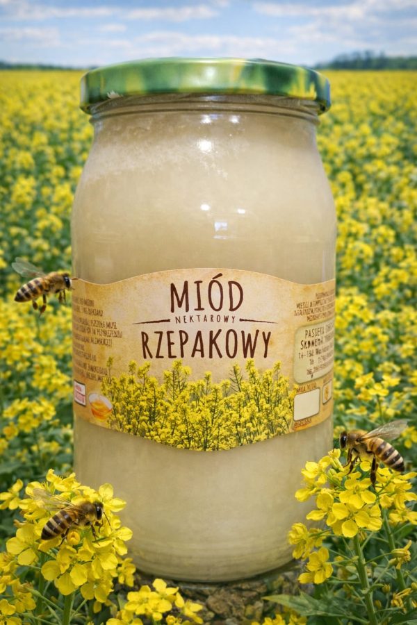 │ Miód rzepakowy kremowy w słoiku — Pasieka Robinia