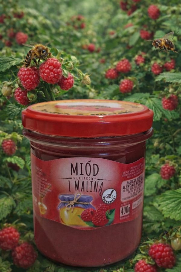 Miód z malinami liofilizowanymi w słoiku — Pasieka Robinia Miód z malinami liofilizowanymi w słoiku — Pasieka Robinia