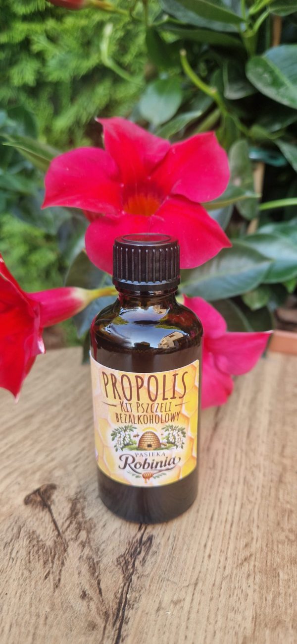WhatsApp Image 2026-07-28 at 21.57.14 (6) Propolis bezalkoholowy w płynie 50ml